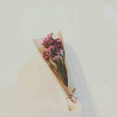 吕布斗貂蝉手机版下载